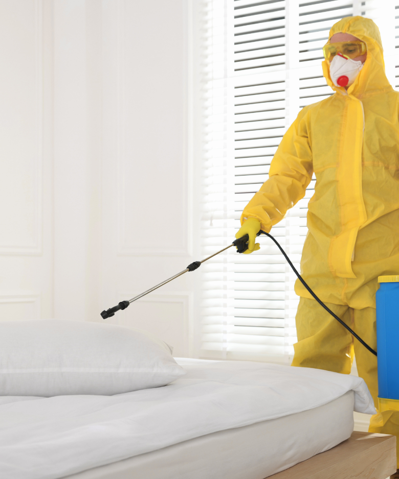 Professional Pest Control Team in Elizabeth North